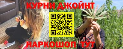 стаф Дмитров